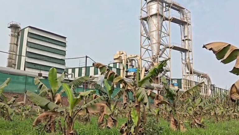 IMG_20260210_16592317