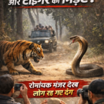 file_000000001ec072069e3dca0a98257ca3